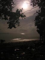 lovely sunset